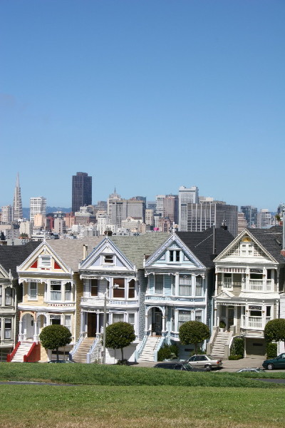 Painted Ladies